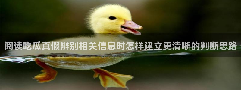 网络话题大全