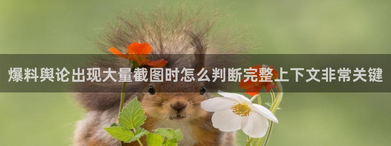网络热点话题
